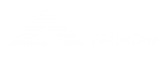logotyp Alphaone biały